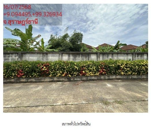 ที่ดินว่างเปล่า ซ. พ่อขุนทะเล 14 อ.เมืองสุราษฎร์ธานี