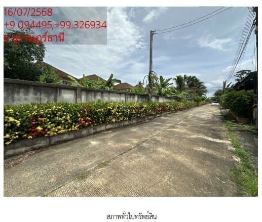 ที่ดินว่างเปล่า ซ. พ่อขุนทะเล 14 อ.เมืองสุราษฎร์ธานี