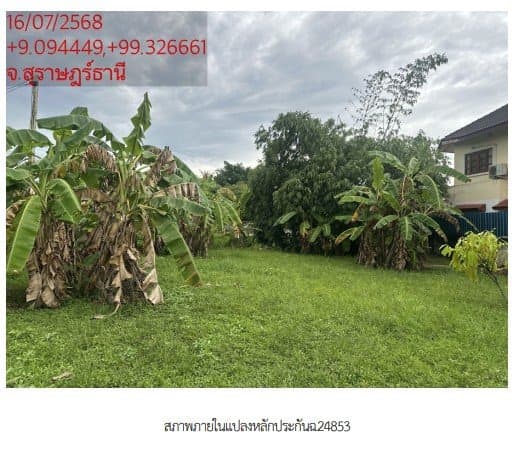 ที่ดินว่างเปล่า ซ. พ่อขุนทะเล 14 อ.เมืองสุราษฎร์ธานี