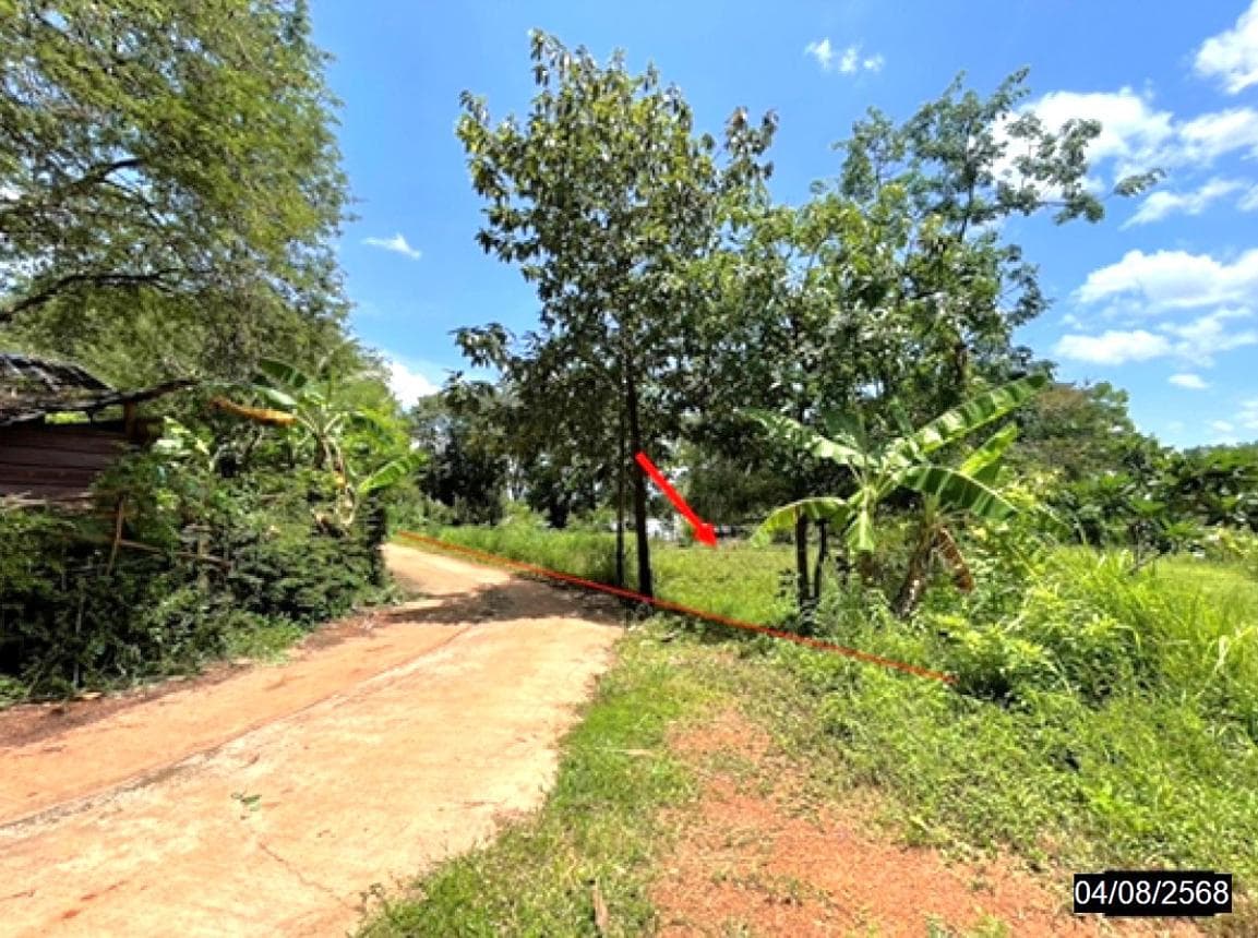 ที่ดินว่างเปล่า สว่าง พรรณานิคม สกลนคร 58 ตร.ว. ทำเลดี บรรยากาศเงียบสงบ เหมาะสำหรับสร้างบ้านพักอาศัย