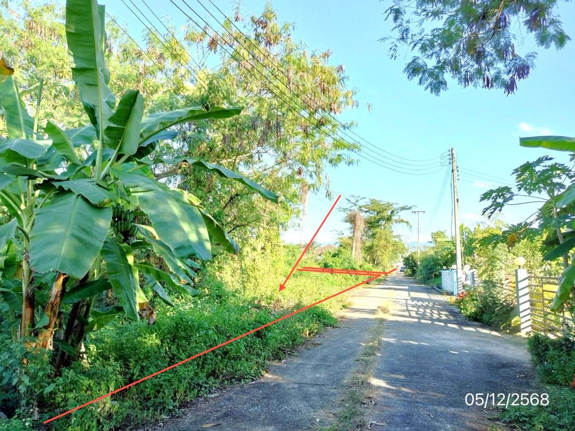 ขายที่ดินเปล่าทำเลดีในโครงการกาญจน์สิริพบโชค ย่านดงมะดะ แม่ลาว เชียงราย บรรยากาศร่มรื่นโอบล้อมด้วยธรรมชาติ เหมาะสำหรับลงทุนหรือสร้างที่อยู่อาศัย