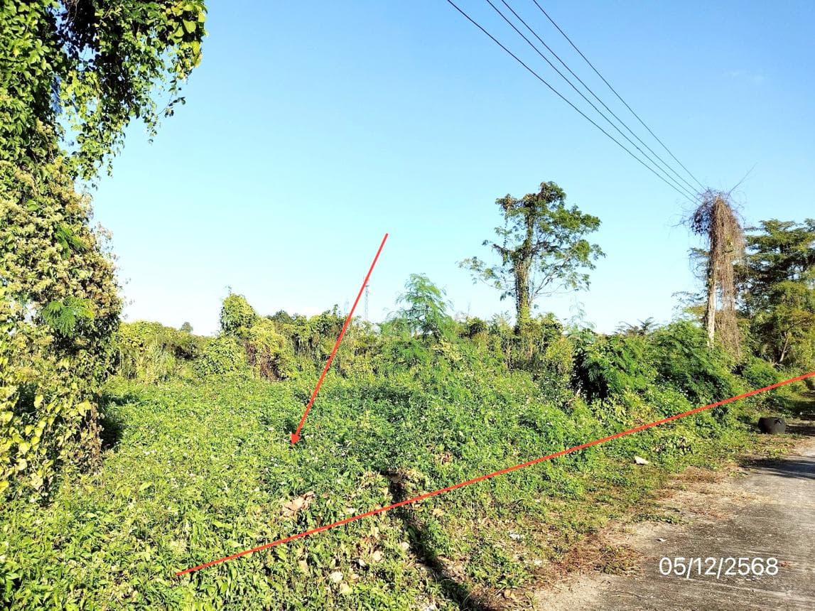 ขายที่ดินเปล่าทำเลดีในโครงการกาญจน์สิริพบโชค ย่านดงมะดะ แม่ลาว เชียงราย บรรยากาศร่มรื่นโอบล้อมด้วยธรรมชาติ เหมาะสำหรับลงทุนหรือสร้างที่อยู่อาศัย