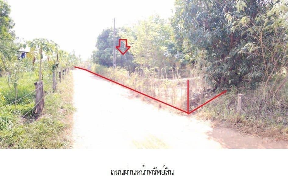 บ้านเดี่ยว ต.สร้างนกทา เมืองอำนาจเจริญ
