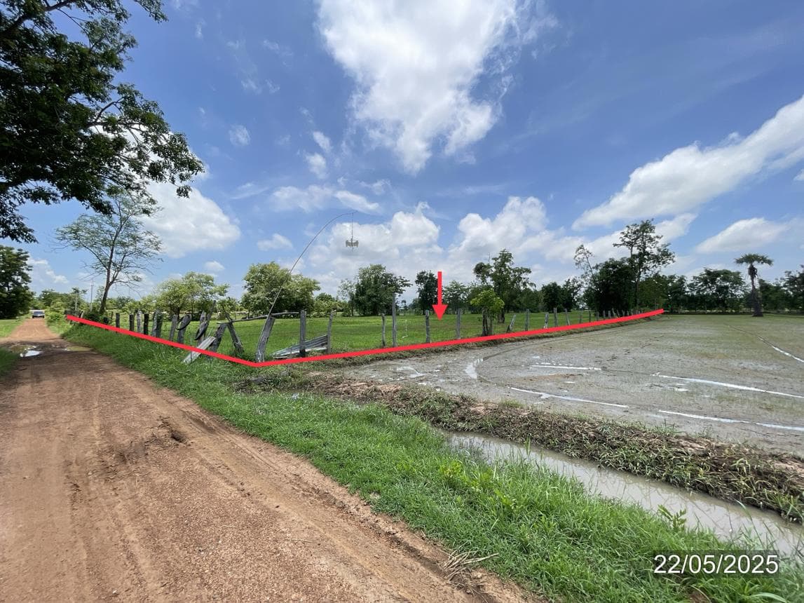 ขายที่ดินว่างเปล่า วังน้ำขาว บ้านด่านลานหอย สุโขทัย ทำเลศักยภาพ บรรยากาศดี เหมาะสำหรับลงทุน