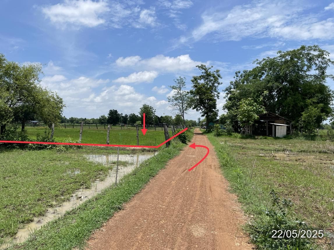 ขายที่ดินว่างเปล่า วังน้ำขาว บ้านด่านลานหอย สุโขทัย ทำเลศักยภาพ บรรยากาศดี เหมาะสำหรับลงทุน