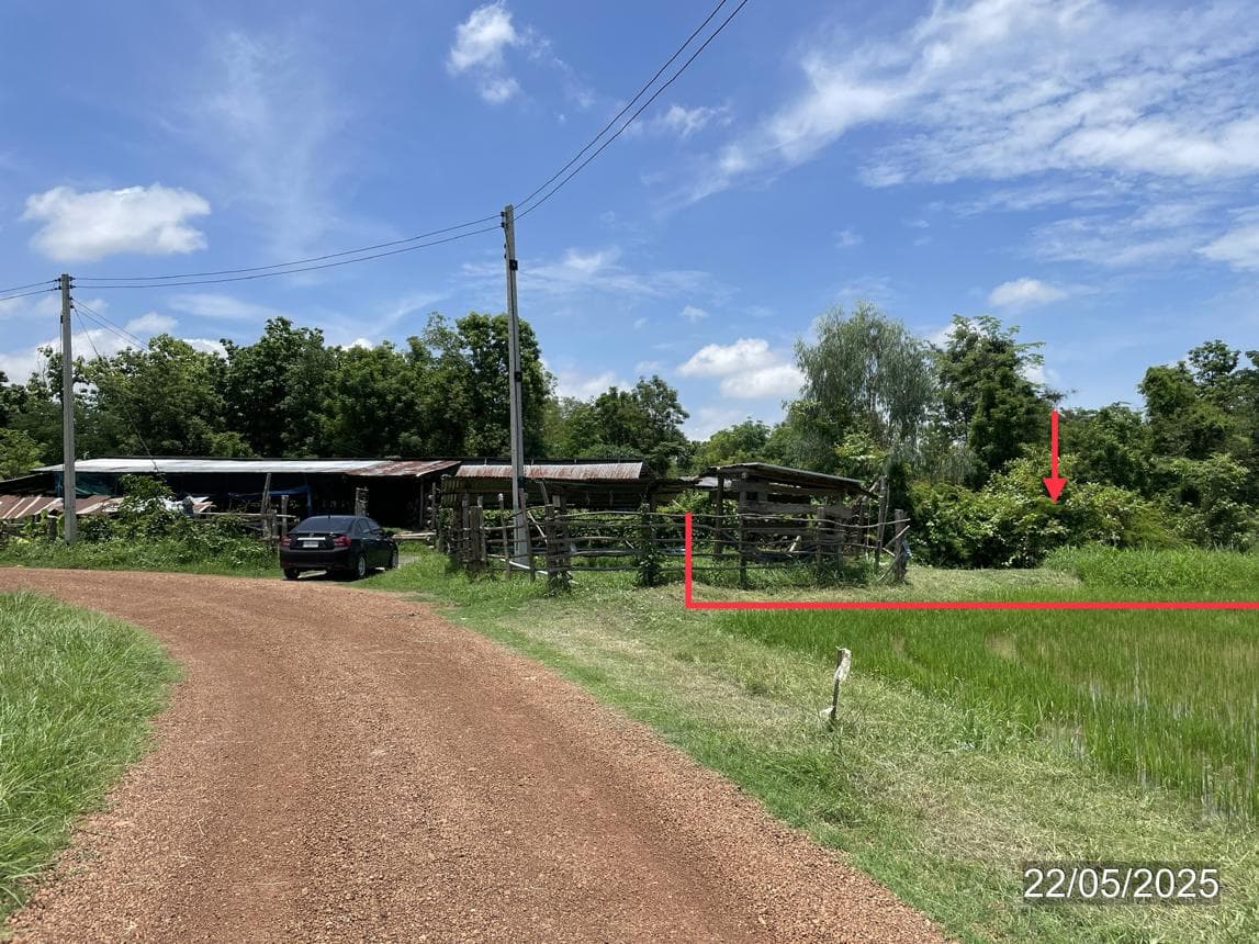 ขายที่ดินว่างเปล่า วังน้ำขาว บ้านด่านลานหอย สุโขทัย ทำเลศักยภาพ บรรยากาศดี เหมาะสำหรับลงทุน