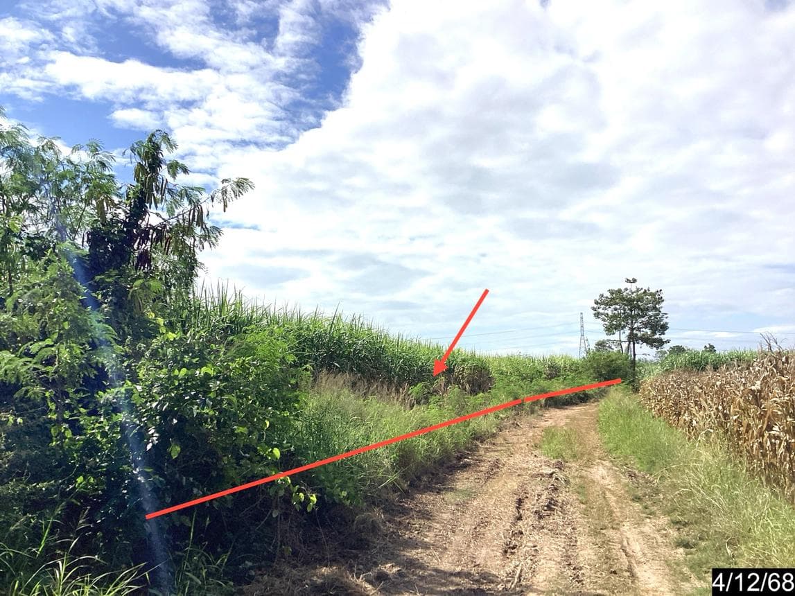 ที่ดินเปล่าแปลงใหญ่ 42 ไร่ ทำเลศักยภาพสูงเนิน นครราชสีมา เหมาะพัฒนาโครงการหรือเก็งกำไร