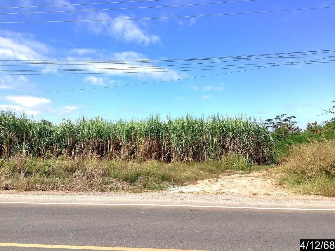 ที่ดินเปล่าแปลงใหญ่ 42 ไร่ ทำเลศักยภาพสูงเนิน นครราชสีมา เหมาะพัฒนาโครงการหรือเก็งกำไร