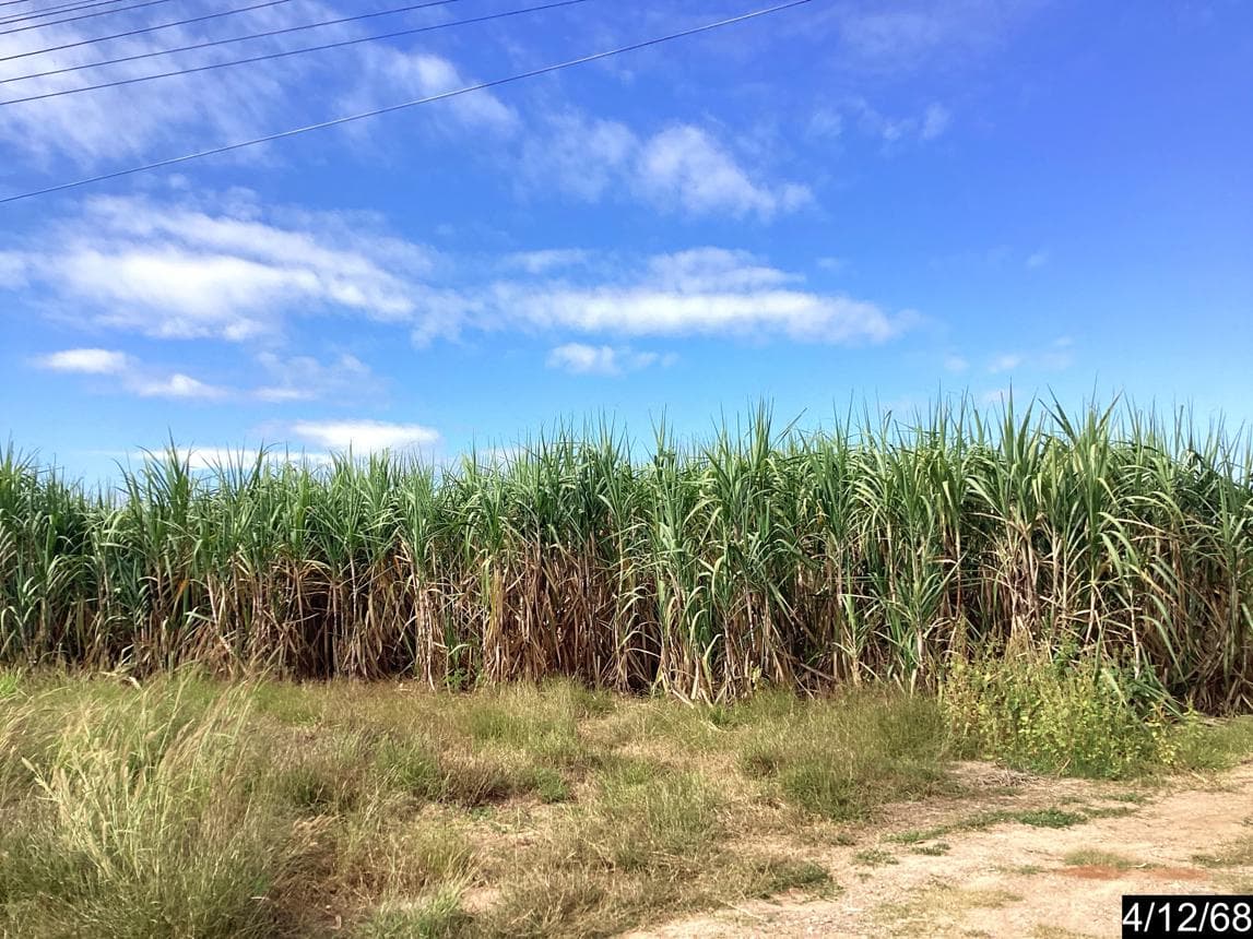 ที่ดินเปล่าแปลงใหญ่ 42 ไร่ ทำเลศักยภาพสูงเนิน นครราชสีมา เหมาะพัฒนาโครงการหรือเก็งกำไร