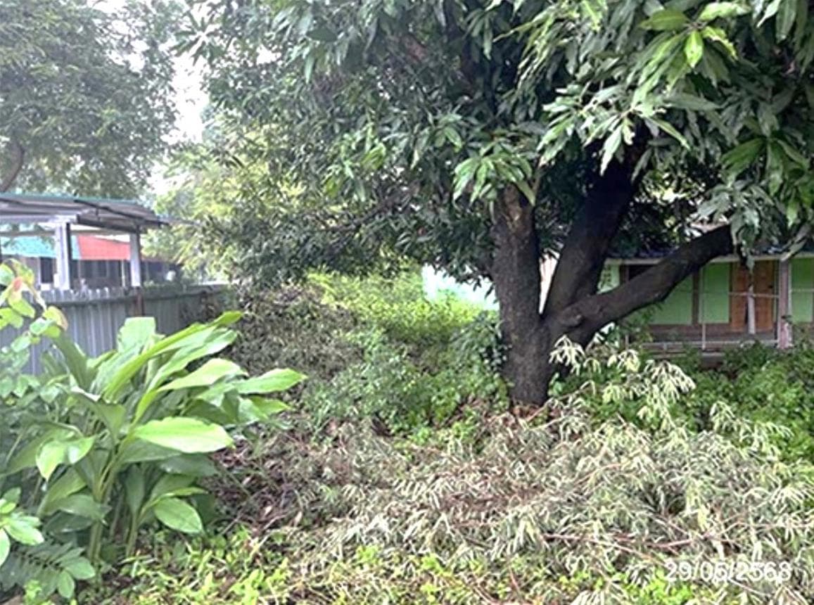 บ้านเดี่ยว หนองแหน พนมสารคาม ฉะเชิงเทรา 1 ห้องน้ำ ขนาด 32 ตร.ว.