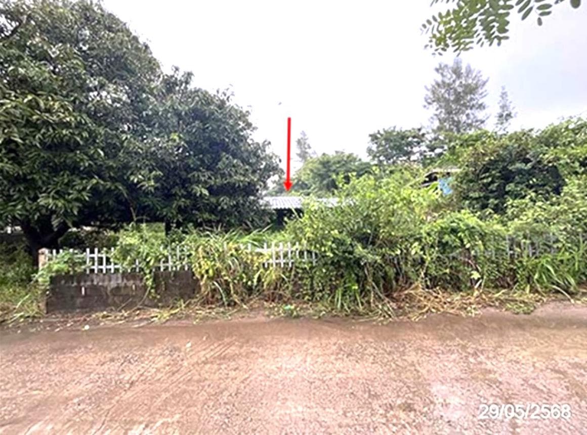 บ้านเดี่ยว หนองแหน พนมสารคาม ฉะเชิงเทรา 1 ห้องน้ำ ขนาด 32 ตร.ว.