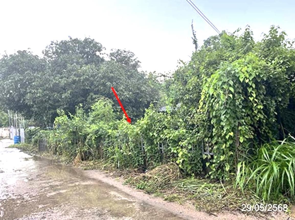 บ้านเดี่ยว หนองแหน พนมสารคาม ฉะเชิงเทรา 1 ห้องน้ำ ขนาด 32 ตร.ว.