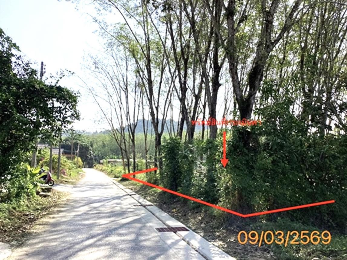 ที่ดินเปล่า พื้นที่ 74 ตร.ว. ทำเลศักยภาพ เกาะยาวน้อย เกาะยาว พังงา