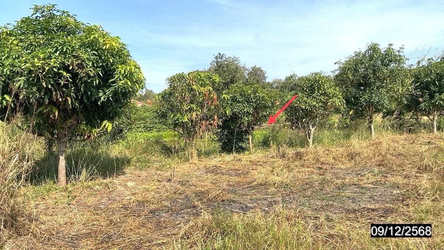 บ้านเดี่ยว สร้างก่อ กุดจับ อุดรธานี 2 ห้องนอน 3 ห้องน้ำ พื้นที่กว้างขวาง 192 ตร.ม. ทำเลสงบเป็นส่วนตัว ราคา 3 ล้านต้นๆ