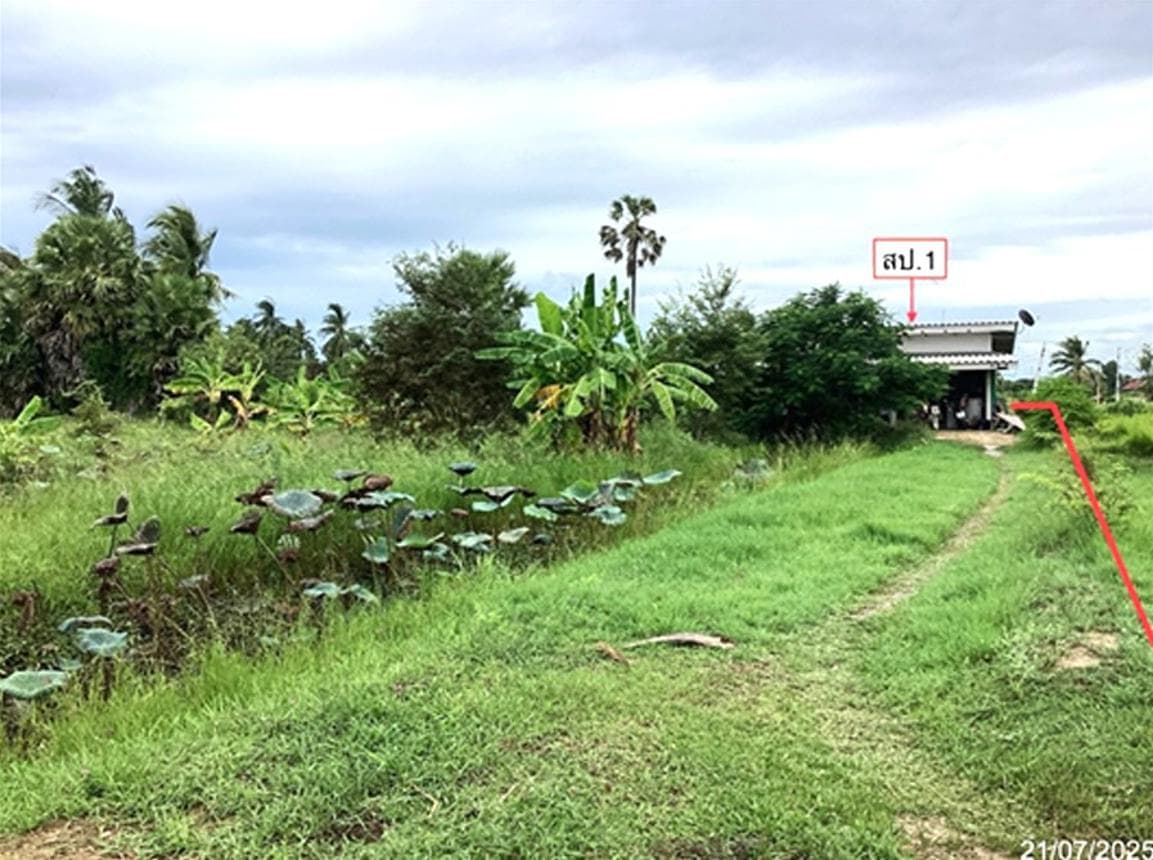 ขายบ้านเดี่ยวชั้นเดียว พื้นที่ 46.6 ตร.ว. อ.ท่ายาง จ.เพชรบุรี 1 ห้องนอน 1 ห้องน้ำ พื้นที่ใช้สอย 63 ตร.ม. ทำเลสงบ บรรยากาศดี ราคาล้านต้นๆ