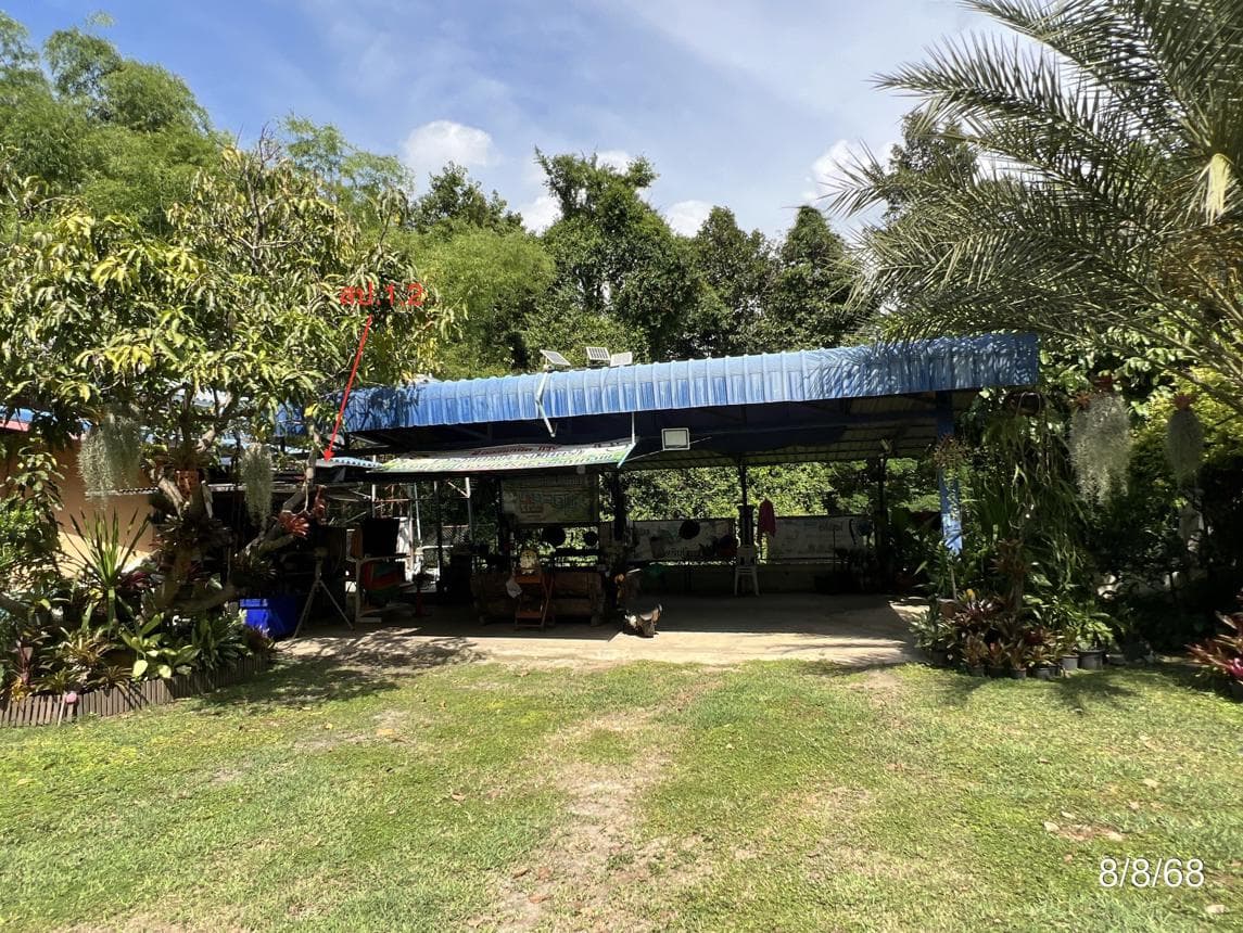 บ้านเดี่ยว 2 ห้องนอน พื้นที่ 231 ตร.ม. ทำเลศักยภาพ โพนางดำออก สรรพยา ชัยนาท
