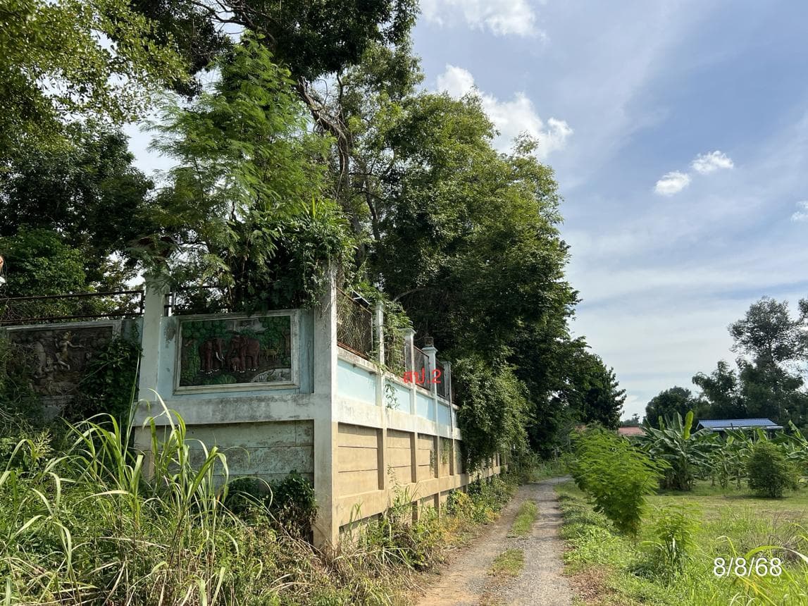 บ้านเดี่ยว 2 ห้องนอน พื้นที่ 231 ตร.ม. ทำเลศักยภาพ โพนางดำออก สรรพยา ชัยนาท