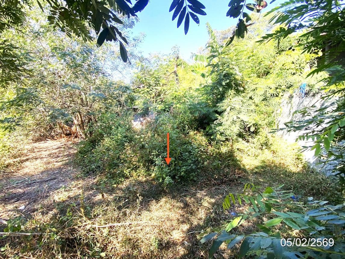 ที่ดินว่างเปล่า อาจสามารถ ร้อยเอ็ด เนื้อที่ 89.2 ตร.ว. ทำเลดีใกล้แหล่งชุมชน เดินทางสะดวก เหมาะสร้างบ้านพักอาศัย ราคาพิเศษ 4.4 แสน
