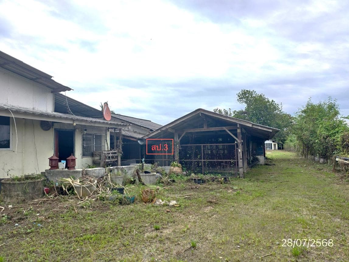 ขายบ้านเดี่ยว ป่าป้อง ดอยสะเก็ด เชียงใหม่ 2 ห้องนอน พื้นที่ใช้สอย 132 ตร.ม.