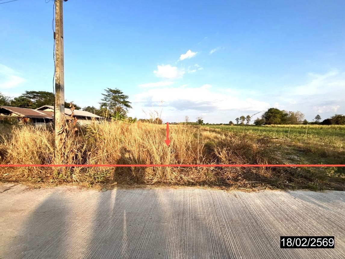 ที่ดินเปล่าทำเลศักยภาพ 2 ไร่ หนองกุงศรี กาฬสินธุ์ เหมาะสำหรับสร้างบ้านและการลงทุน