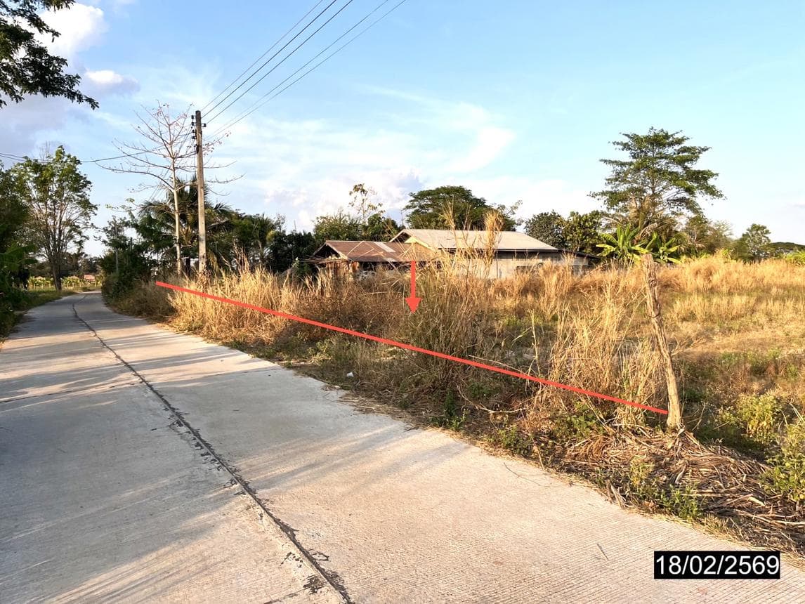 ที่ดินเปล่าทำเลศักยภาพ 2 ไร่ หนองกุงศรี กาฬสินธุ์ เหมาะสำหรับสร้างบ้านและการลงทุน