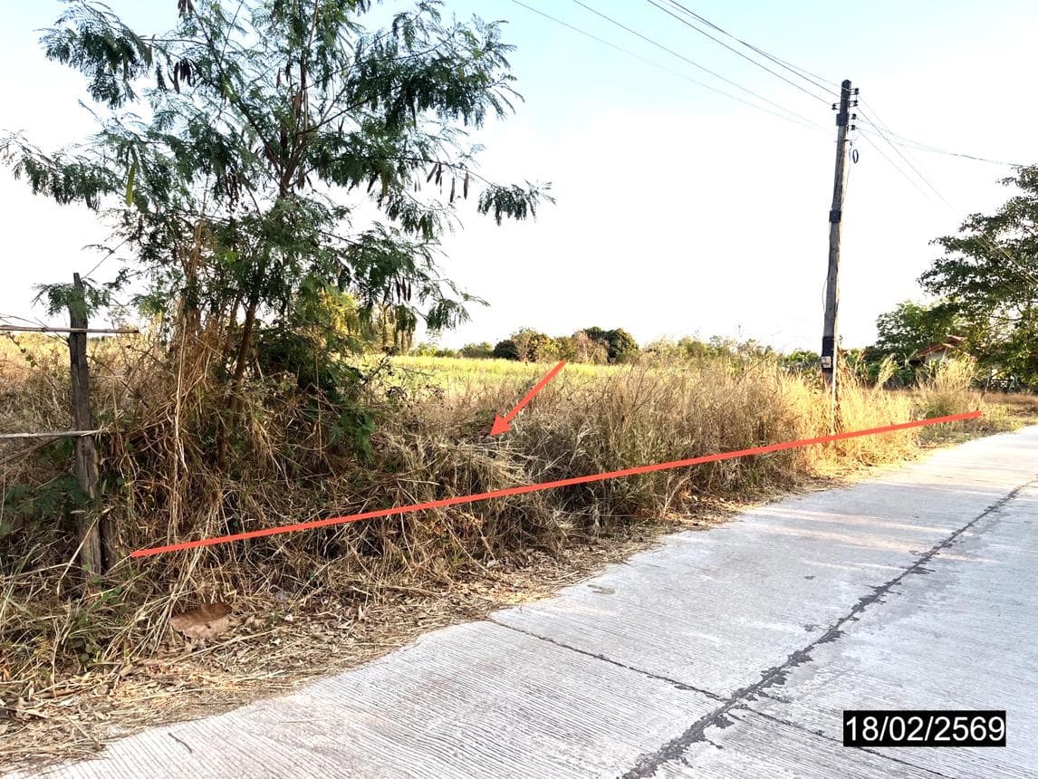 ที่ดินเปล่าทำเลศักยภาพ 2 ไร่ หนองกุงศรี กาฬสินธุ์ เหมาะสำหรับสร้างบ้านและการลงทุน
