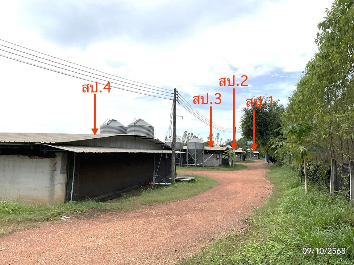 ขายฟาร์มและโรงเลี้ยงสัตว์ กบินทร์บุรี ปราจีนบุรี ทำเลศักยภาพเพื่อการลงทุนเชิงเกษตร