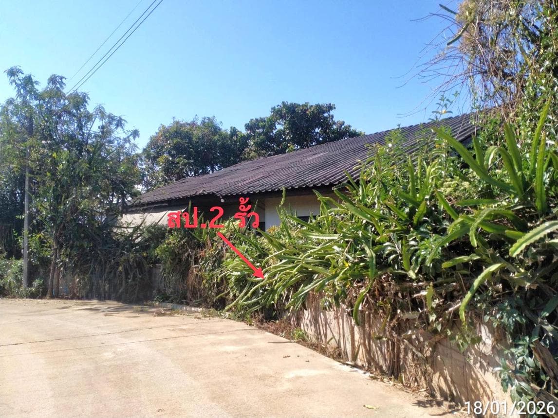 บ้านเดี่ยว 3 ห้องนอน 124 ตร.ม. โอบล้อมด้วยธรรมชาติ บรรยากาศเงียบสงบ ตำบลช่างเคิ่ง แม่แจ่ม เชียงใหม่