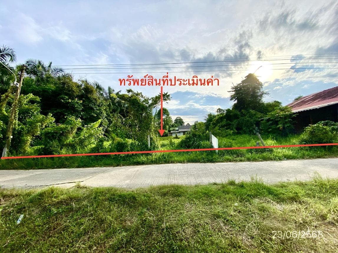 ขายที่ดิน ช้างซ้าย พระพรหม นครศรีธรรมราช พื้นที่ 43 ตร.ว.