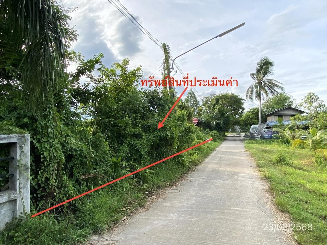 ขายที่ดิน ช้างซ้าย พระพรหม นครศรีธรรมราช พื้นที่ 43 ตร.ว.