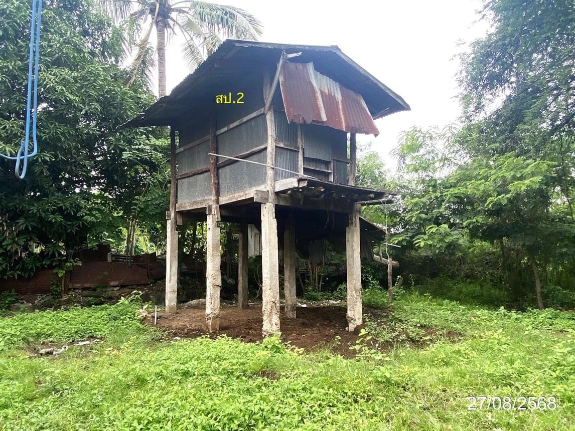 ขายบ้านเดี่ยว เปลือย สุวรรณภูมิ ร้อยเอ็ด 2 ห้องนอน สเปซ 88 ตร.ม. ทำเลสงบราคาล้านนิดๆ นั่นเอง