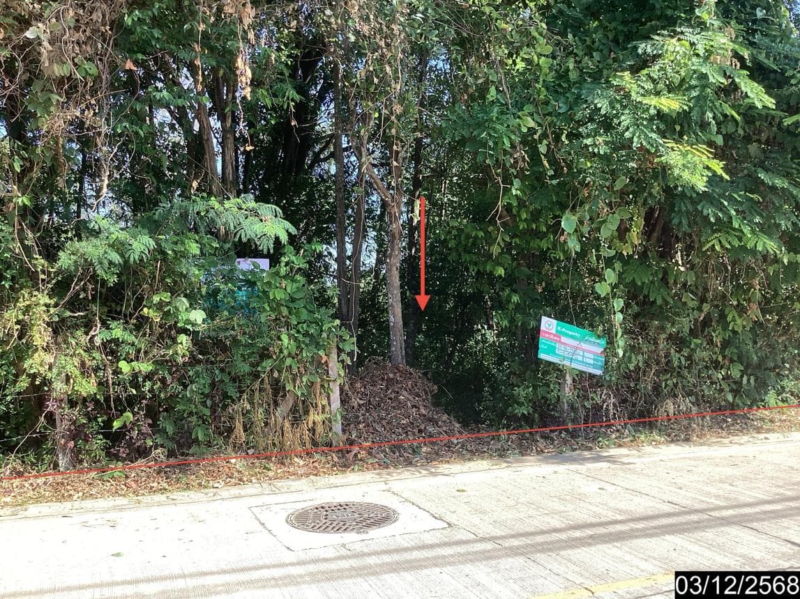 ที่ดินเปล่า พื้นที่ 59 ตร.ว. ทำเลศักยภาพ บึงกาฬ เมืองบึงกาฬ บึงกาฬ