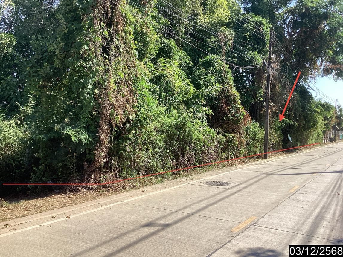 ที่ดินเปล่า พื้นที่ 59 ตร.ว. ทำเลศักยภาพ บึงกาฬ เมืองบึงกาฬ บึงกาฬ