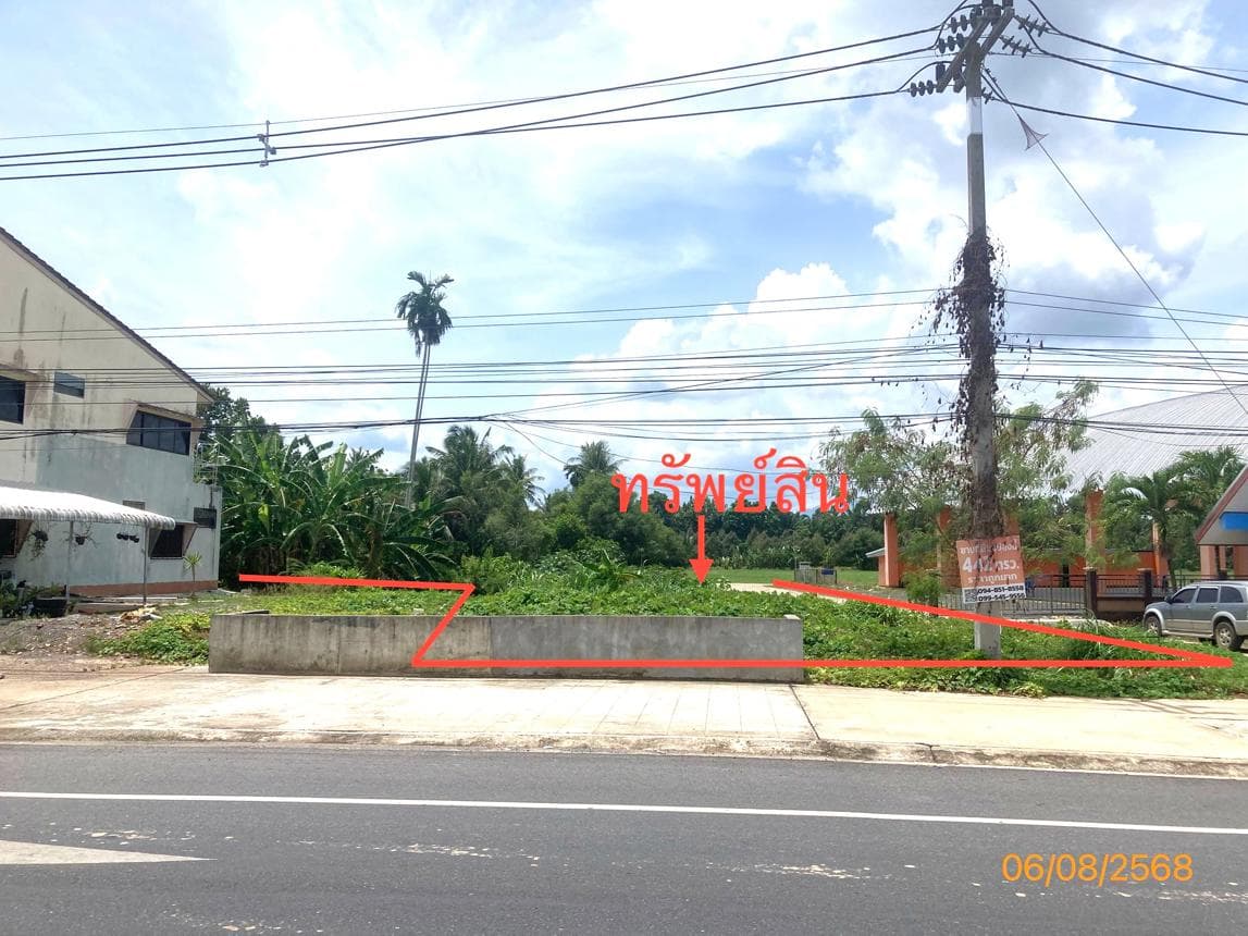 ขายที่ดินเปล่า กาญจนดิษฐ์ สุราษฎร์ธานี ทำเลกรูด เนื้อที่กว้าง 42 ไร่ ราคาคุ้มค่า เหมาะสำหรับทำโครงการเกษตรกรรมและลงทุนระยะยาว
