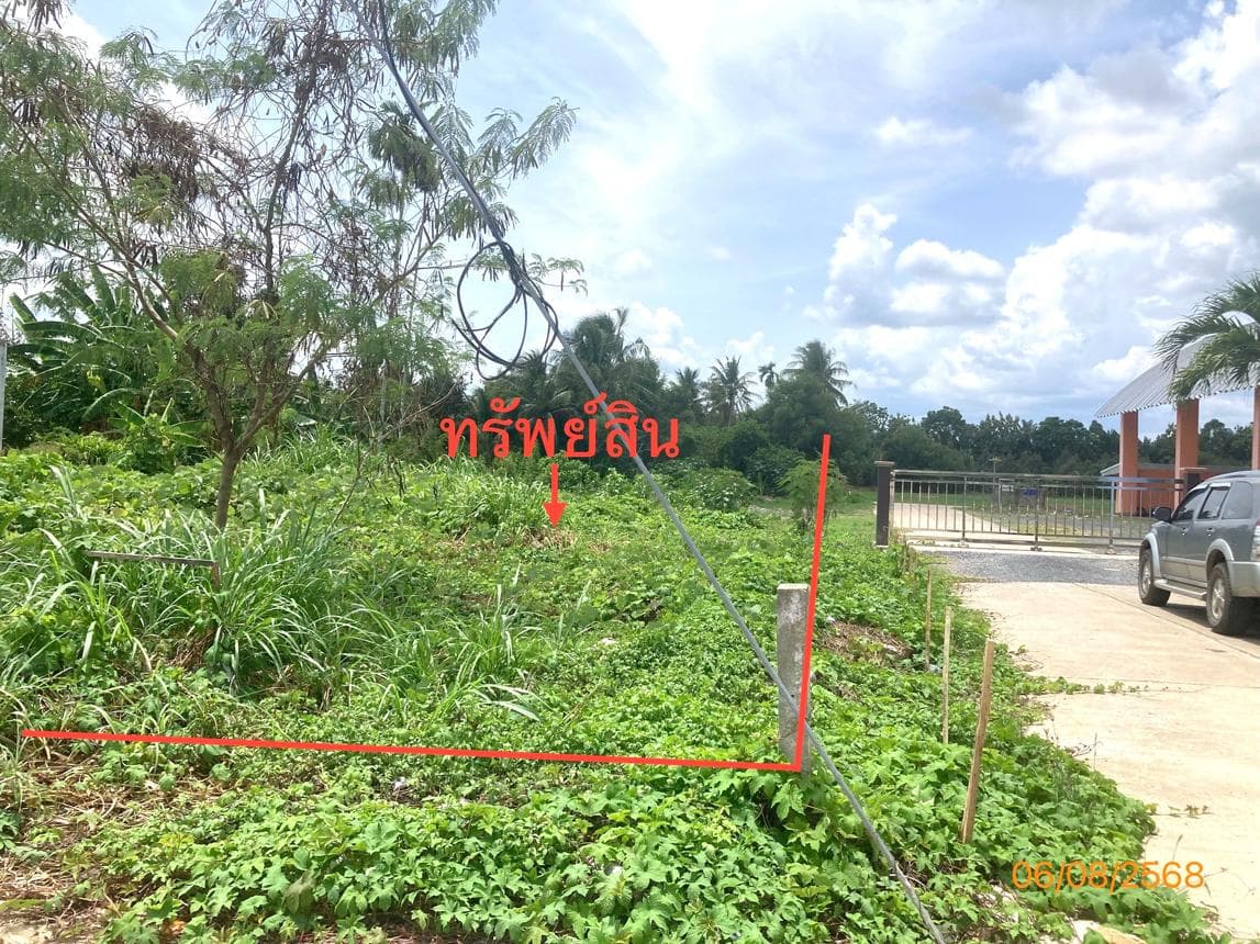 ขายที่ดินเปล่า กาญจนดิษฐ์ สุราษฎร์ธานี ทำเลกรูด เนื้อที่กว้าง 42 ไร่ ราคาคุ้มค่า เหมาะสำหรับทำโครงการเกษตรกรรมและลงทุนระยะยาว