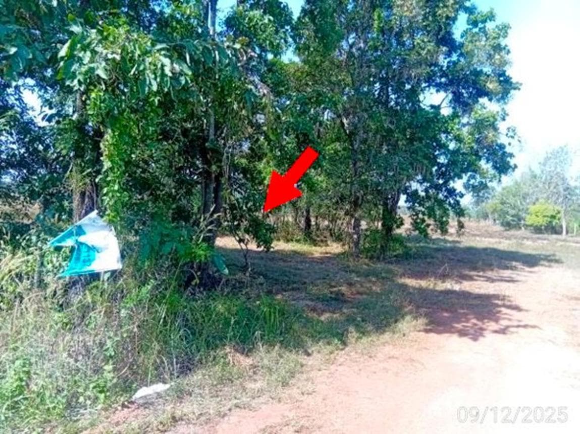 ที่ดินเปล่าทำเลศักยภาพ หนองเม็ก หนองหาน อุดรธานี เนื้อที่ 95 ตร.ว.