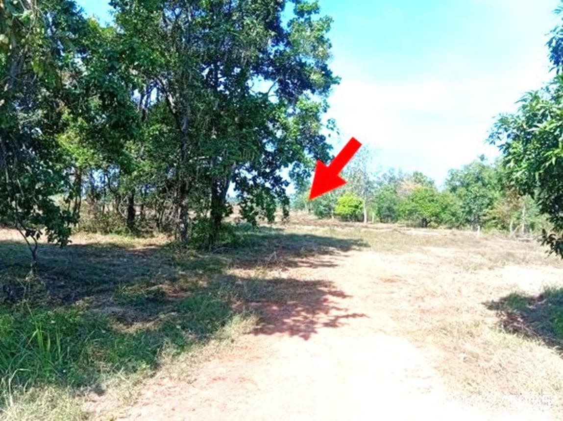ที่ดินเปล่าทำเลศักยภาพ หนองเม็ก หนองหาน อุดรธานี เนื้อที่ 95 ตร.ว.