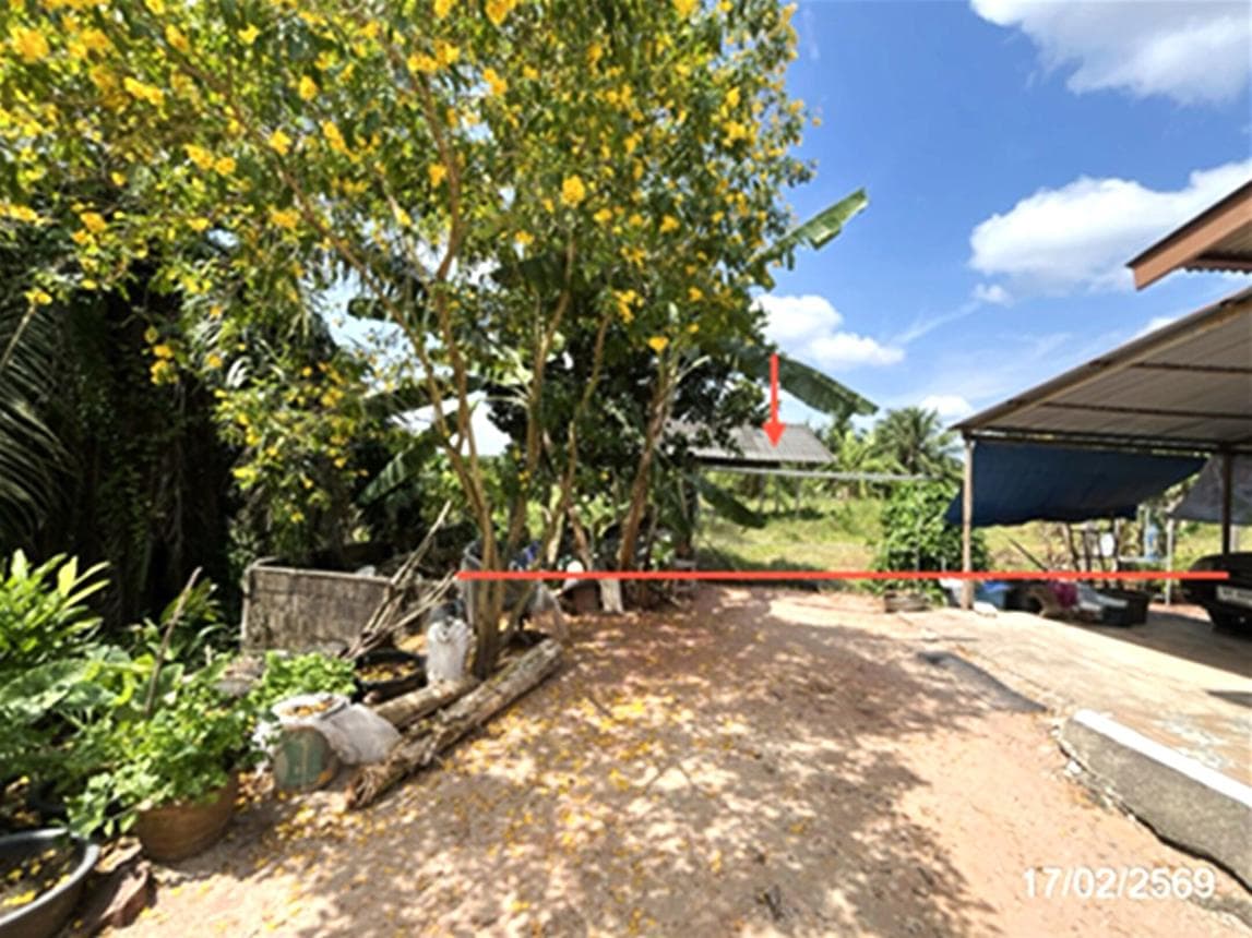 เพิงอเนกประสงค์ พื้นที่ 207 ตร.ม. ทำเลศักยภาพ เลม็ด ไชยา สุราษฎร์ธานี