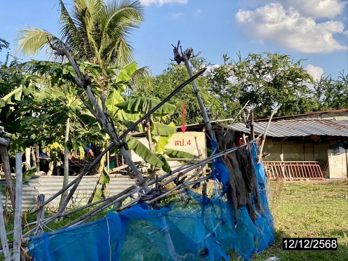 บ้านเดี่ยว โจดหนองแก พล ขอนแก่น พื้นที่กว้าง 60 ตร.ว. 3 ห้องนอน ทำเลดี บรรยากาศเงียบสงบ