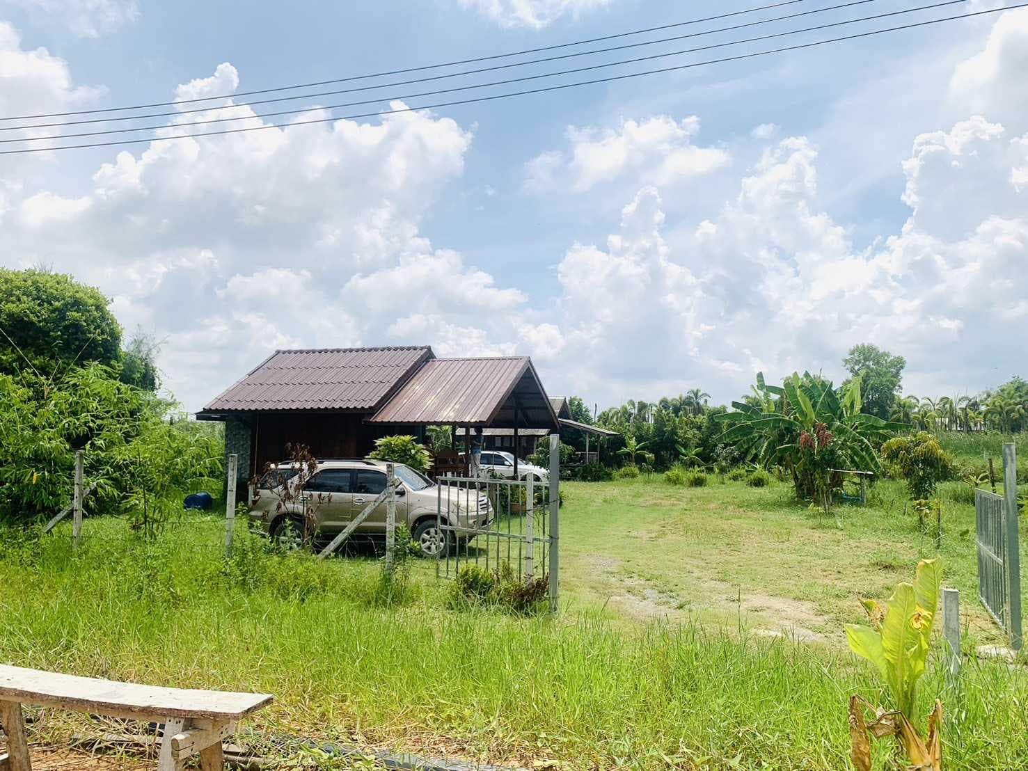 ขาย บ้านเดี่ยว ซอยแสนเกษม 45 ตรม 197 ตรว ใกล้ตลาดหน