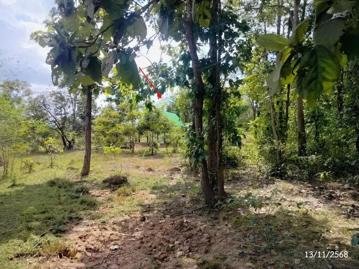 อาคารอเนกประสงค์พร้อมที่ดิน 56 ตร.ว. ทำเลคอนสวรรค์ วานรนิวาส สกลนคร พื้นที่กว้างศักยภาพสูง