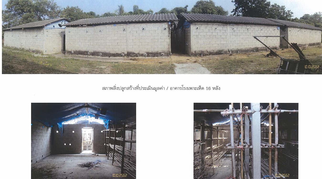 ที่ดินพร้อมสิ่งปลูกสร้าง บางแพ ราชบุรี