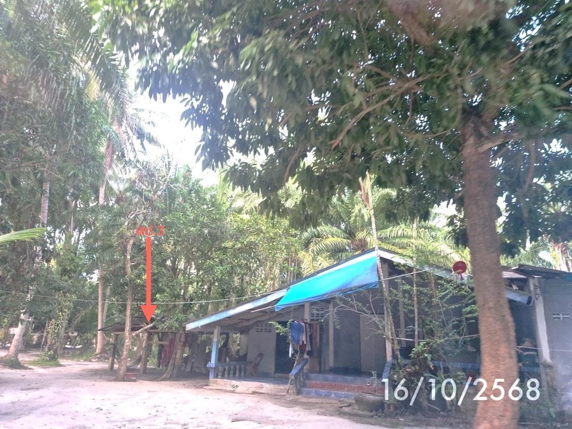 บ้านเดี่ยวเนื้อที่กว้าง 97 ตร.ว. ทำเลท่าศาลา นครศรีธรรมราช บรรยากาศร่มรื่น ใกล้มหาวิทยาลัยวลัยลักษณ์