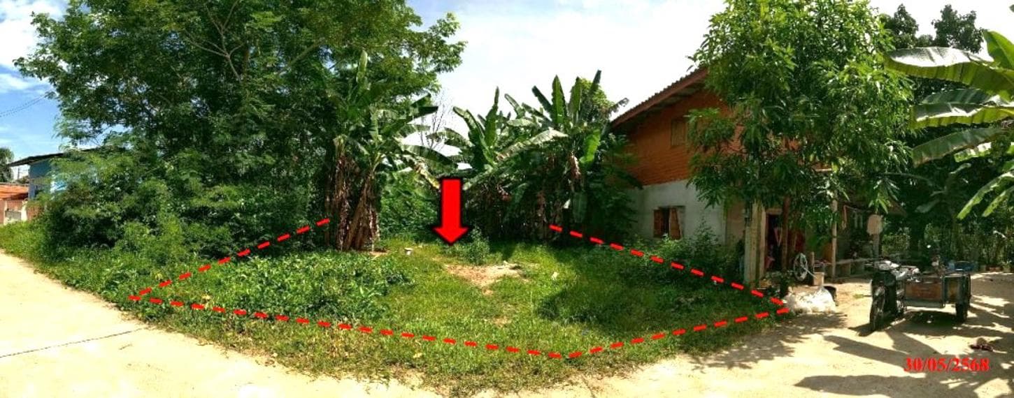 ขายที่ดินเปล่า ตุยง หนองจิก ปัตตานี ทำเลศักยภาพ พื้นที่ 50 ตร.ว.