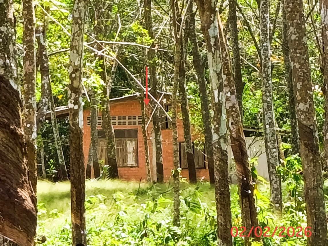 ขายบ้านเดี่ยว 2 ห้องนอน 1 ห้องน้ำ บนเนื้อที่ดินกว้าง 97 ตร.ว. ทำเลสงบ พื้นที่ฉลุง หาดใหญ่ สงขลา