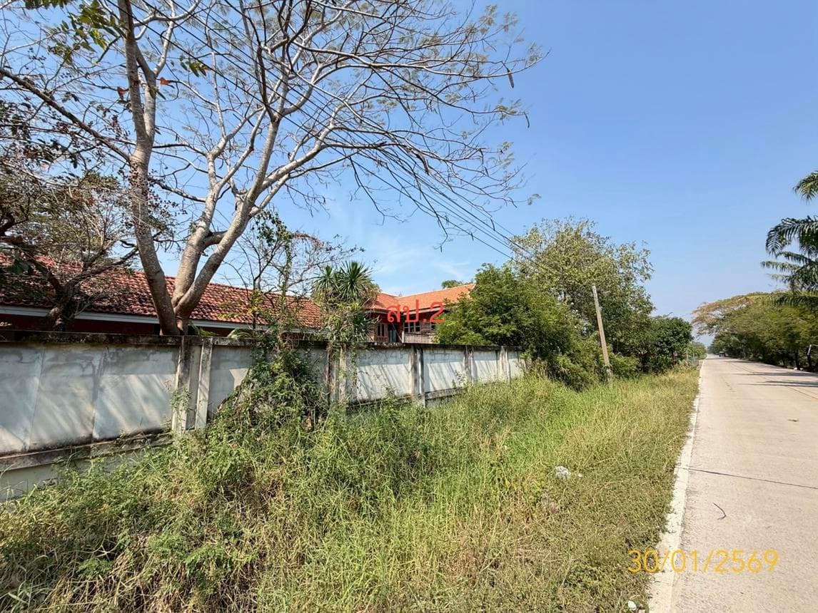 ขายบ้านเดี่ยว บึงชำอ้อ หนองเสือ ปทุมธานี 3 ห้องนอน พื้นที่ใช้สอย 198.48 ตร.ม.