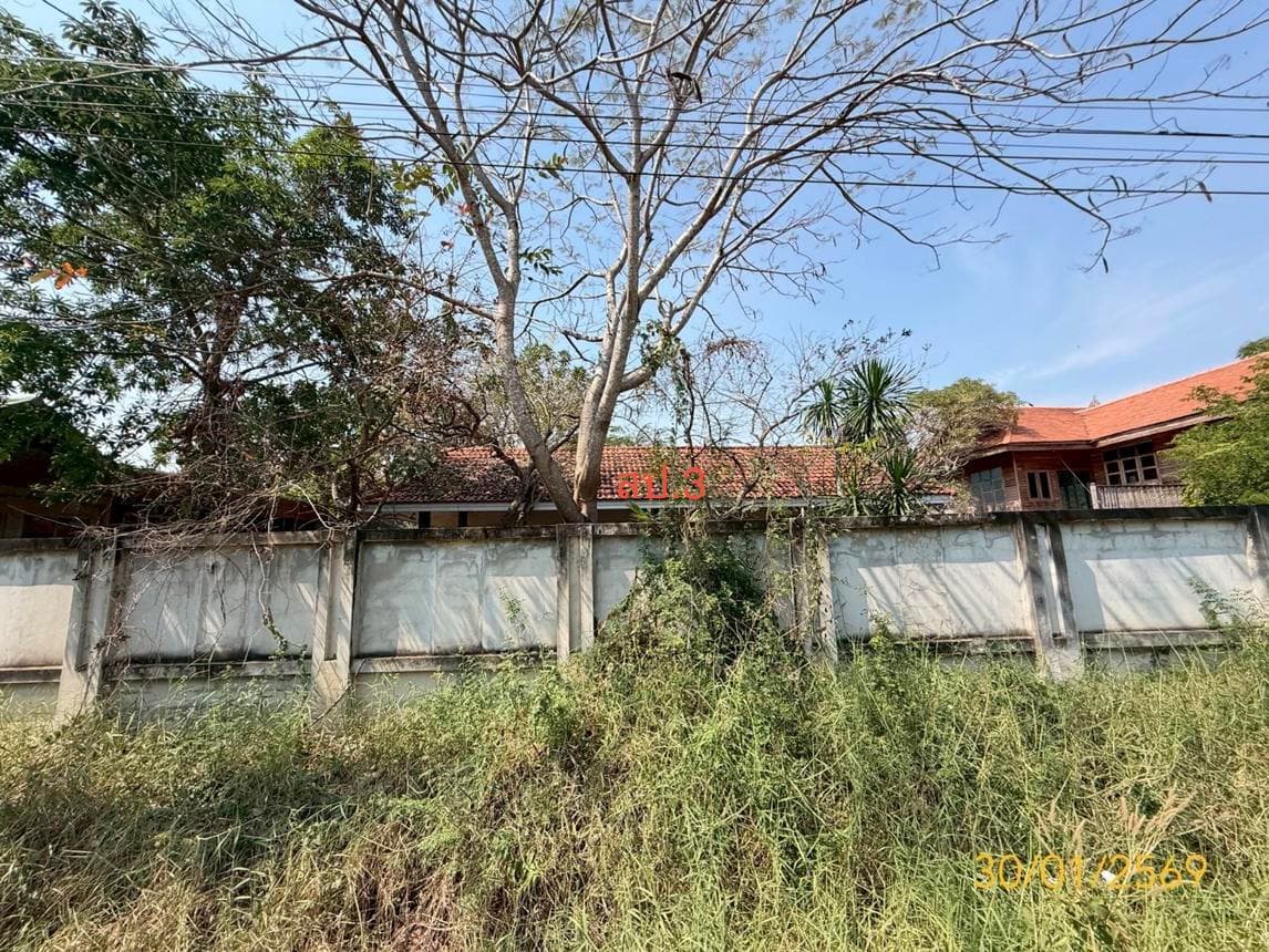 ขายบ้านเดี่ยว บึงชำอ้อ หนองเสือ ปทุมธานี 3 ห้องนอน พื้นที่ใช้สอย 198.48 ตร.ม.
