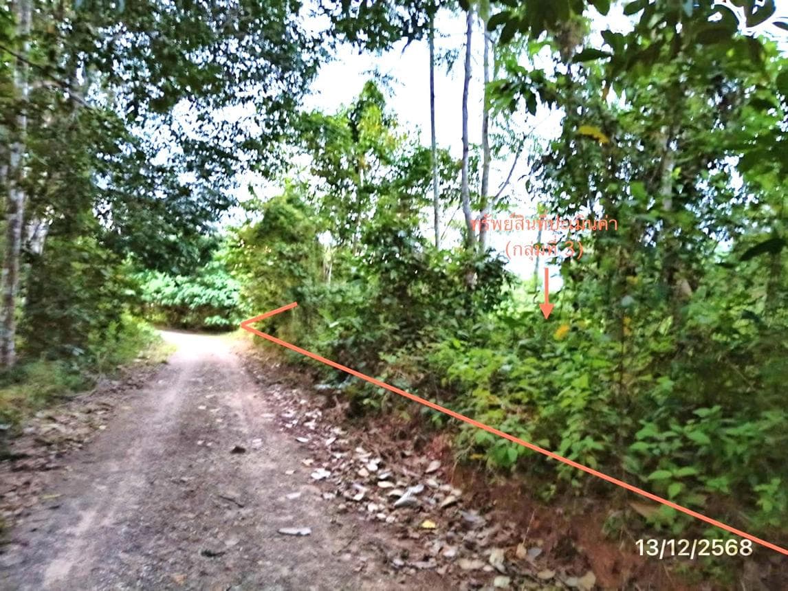 บ้านเดี่ยว คลองใหญ่ ตะโหมด พัทลุง พื้นที่ 99.9 ตร.ว. พื้นที่ใช้สอย 102 ตร.ม. 1 ห้องนอน 1 ห้องน้ำ