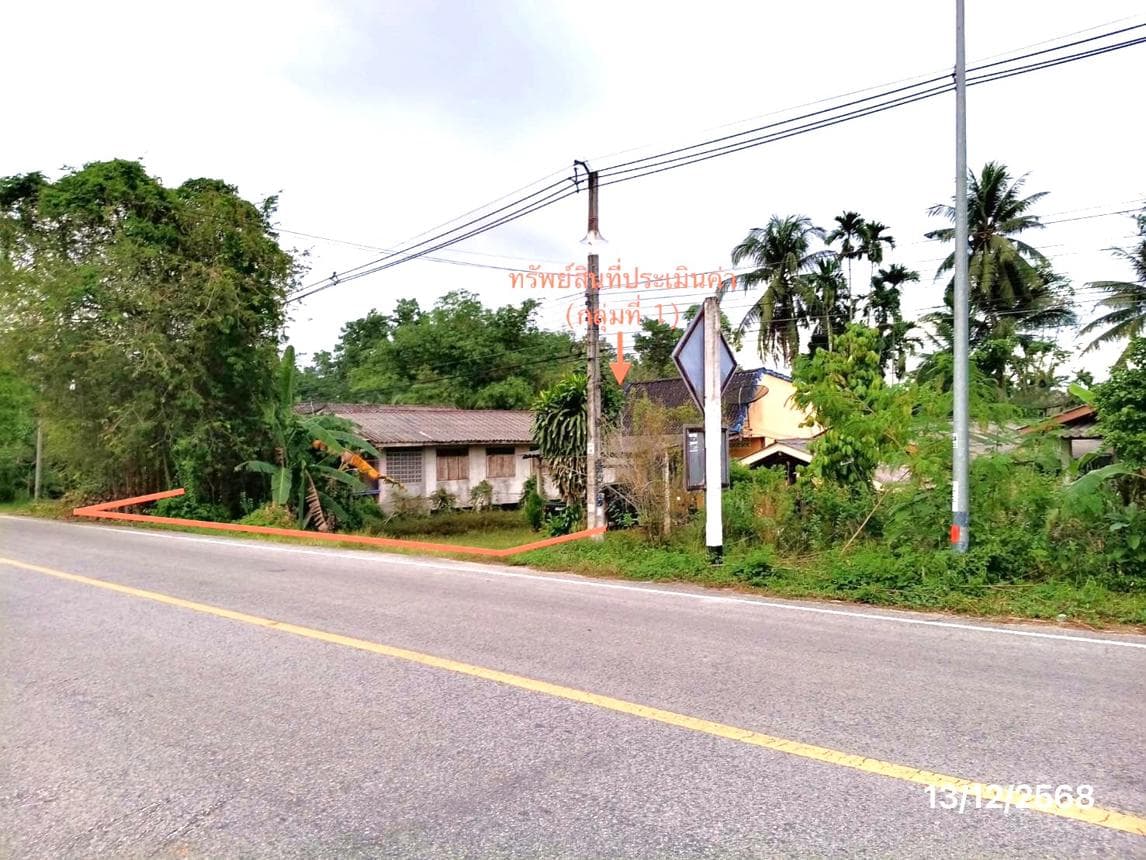 บ้านเดี่ยว คลองใหญ่ ตะโหมด พัทลุง พื้นที่ 99.9 ตร.ว. พื้นที่ใช้สอย 102 ตร.ม. 1 ห้องนอน 1 ห้องน้ำ
