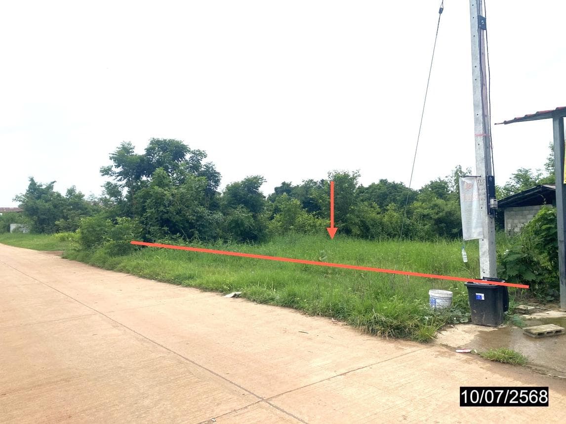 ที่ดินเปล่าทำเลศักยภาพ คุยม่วง บางระกำ พิษณุโลก เหมาะสำหรับการลงทุน